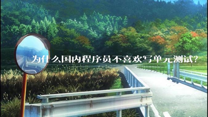 为什么国内程序员不喜欢写单元测试？